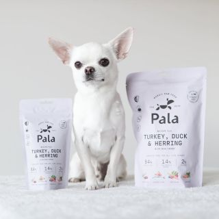 Už jste se svým pejskem vyzkoušeli raw krmivo od Pala petfoods ? 🐾 100% přírodní krmivo bez chemie, s pořádnou dávkou...